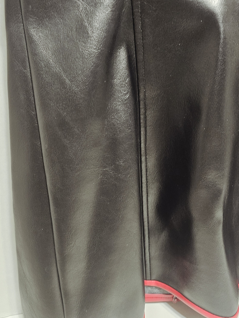 Lip Service Black and Red Faux Leather Zip-Front Dress - Picture 9 of 10